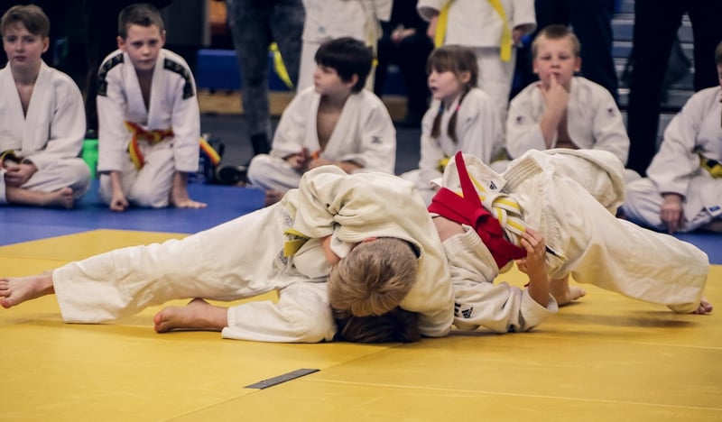 Judo Image